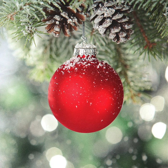 Boule de Noël rouge accrochée à une branche sapin.