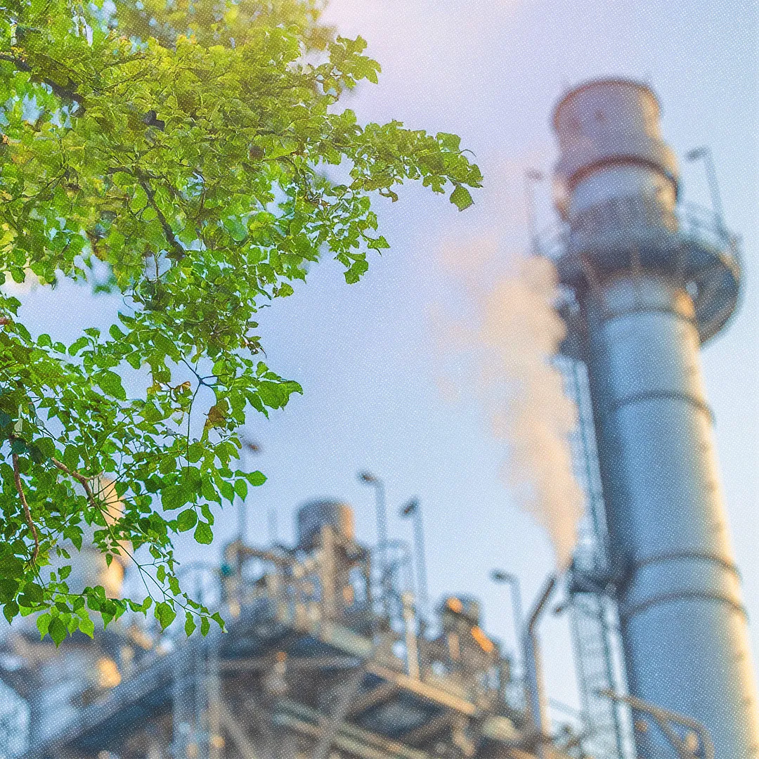 Gros plan d'un arbre, sur fond d'industrie pétrolière.