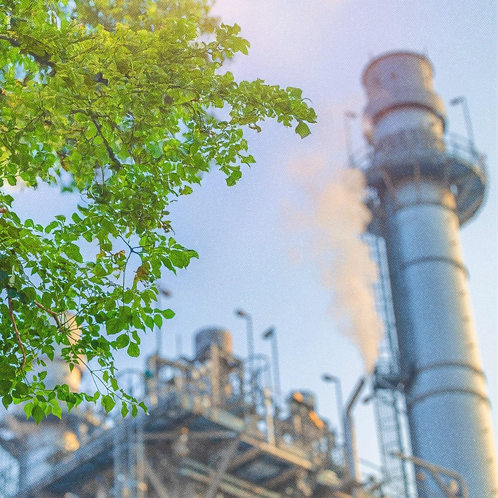 Gros plan d'un arbre, sur fond d'industrie pétrolière.