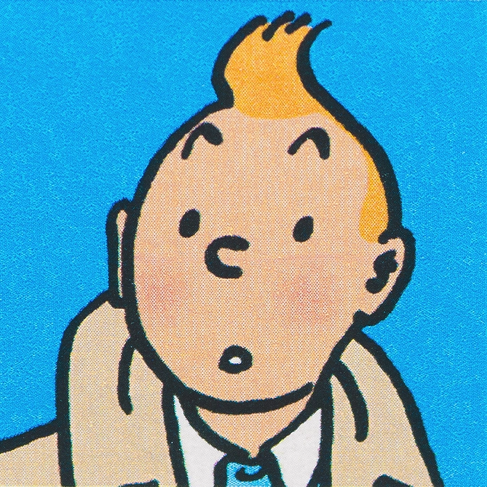 Visage de Tintin.